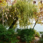 oct2011