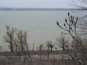Danube febr2013