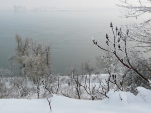 Danube15dec2012