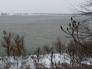 Danube26ian2013