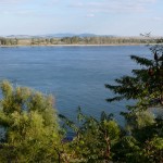 Danube_15Aug2012