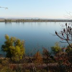 Danube_nov2012