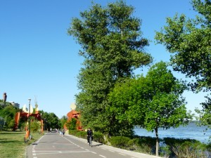 8Mai2013 falezaDunarii
