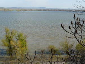 Dunarea17apr2013