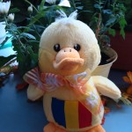 Romania WikiDuck