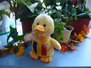 WikiDuck