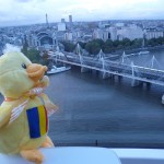 admirand panorama Londrei din marea roata "London eye"