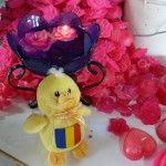 printre trandafirii de ceara din Agros