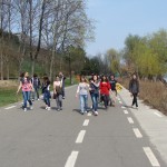 8C